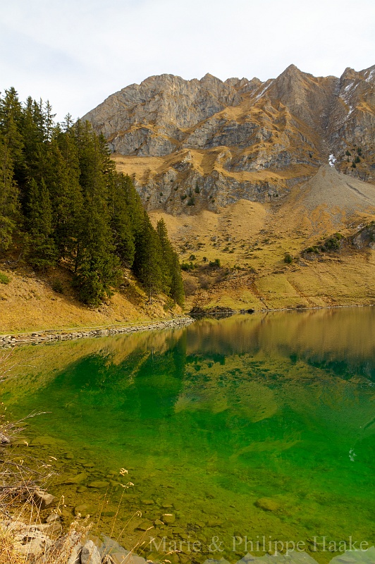 Lac Lioson 5442_3_4.jpg - Lac Lioson, aux Mosses: appelé la perle d'émeraude, sur cette photo, on comprend pourquoi! (Vaud, Suisse, novembre 2011)